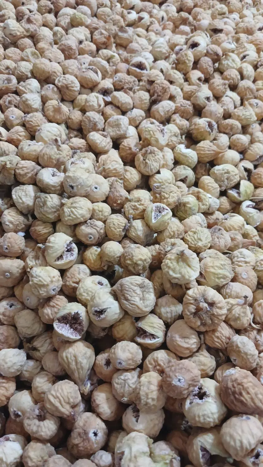 انجیر تازه|خوردنی و آشامیدنی|تهران, شاهین|دیوار