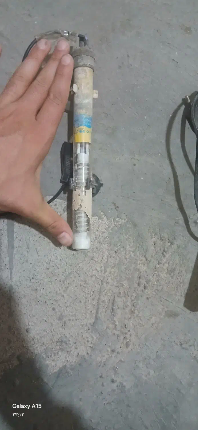 اکواریوم|ماهی|خوی, |دیوار