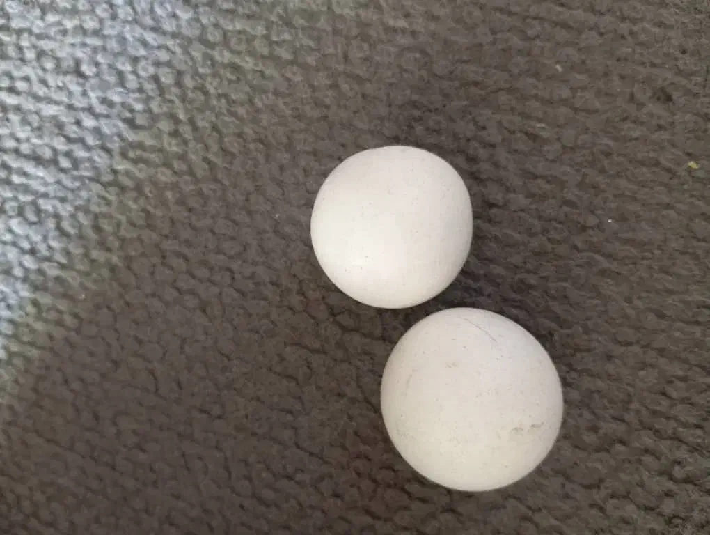 سنگ آسیاب اصل|کلکسیون اشیاء عتیقه|کرمان, |دیوار