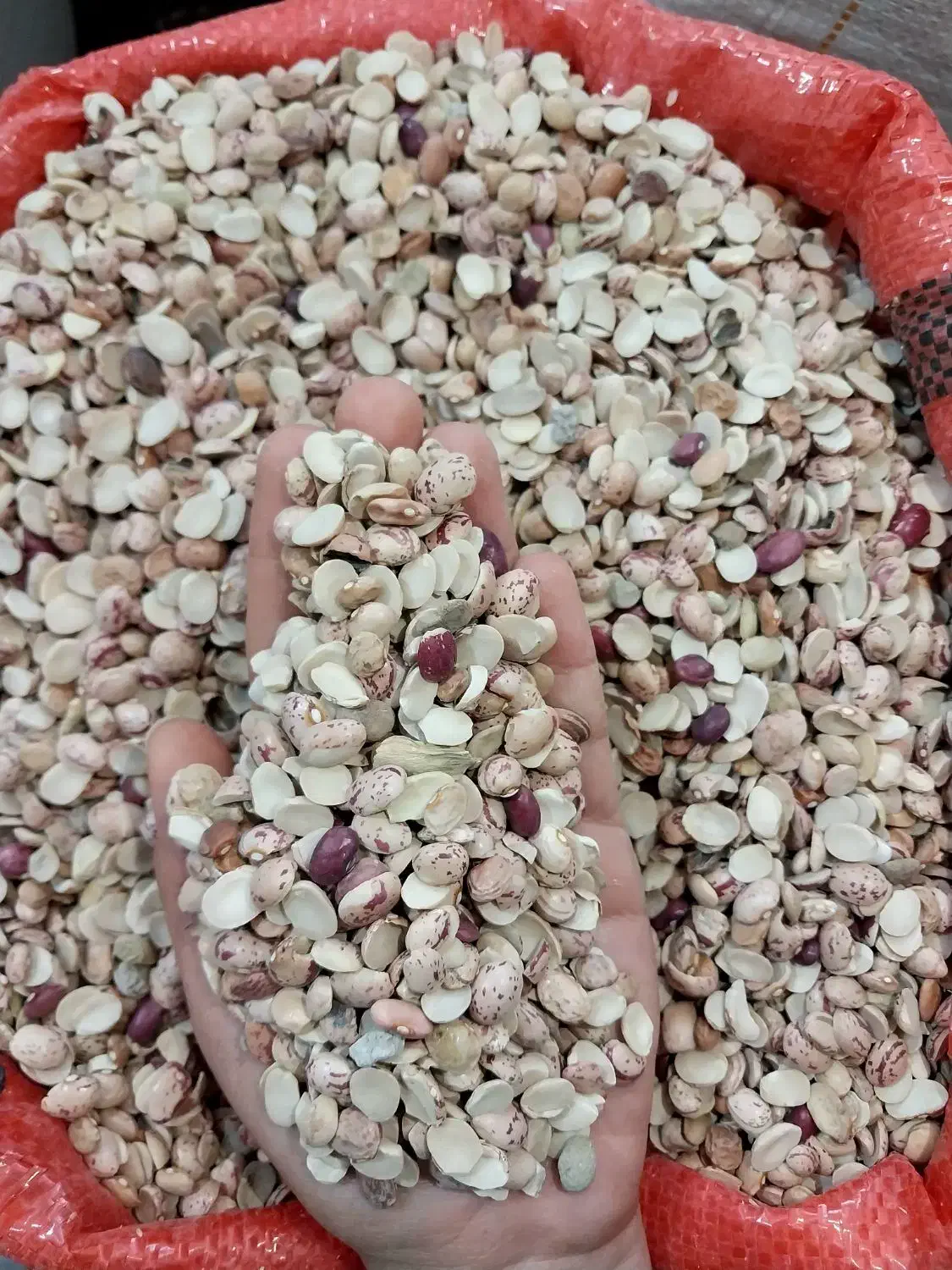 لوبیا *شکسته* چیتی *ایرانی* نصفه مناسب آش شله|خوردنی و آشامیدنی|مشهد, امامیه (شهرک غرب)|دیوار