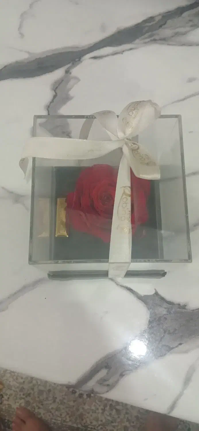 رز جاودان|گل و گیاه طبیعی|تهران, بیسیم|دیوار