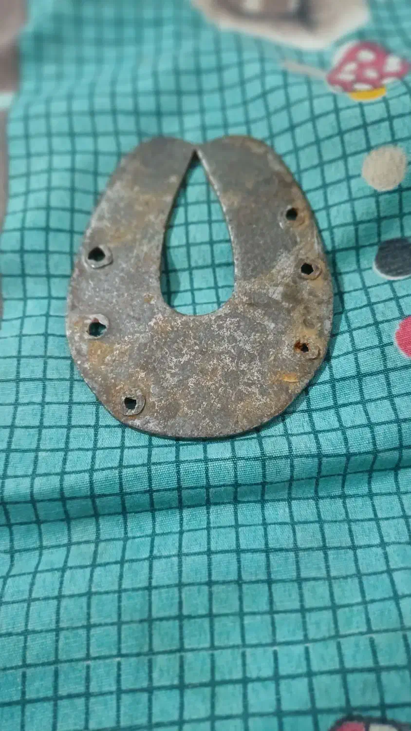 نحل|اسب و تجهیزات اسب‌سواری|لالی, |دیوار