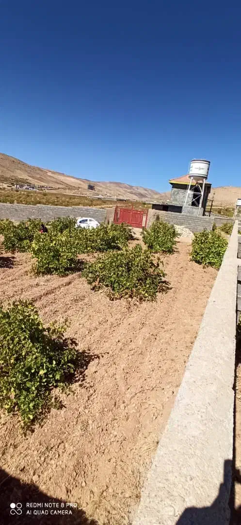 باغ شهری .کلستان|فروش زمین و ملک کلنگی|شیراز, گلستان|دیوار