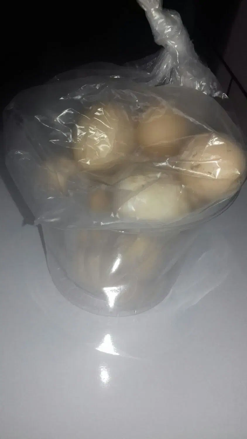 خریدارتخم مرغ محلی|خوردنی و آشامیدنی|اهواز, منبع اب|دیوار