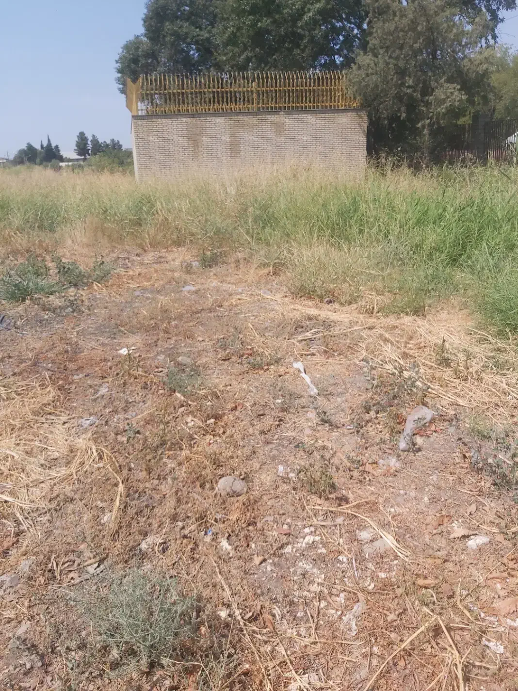 زمین قلعه|فروش زمین و ملک کلنگی|پارس‌آباد, |دیوار