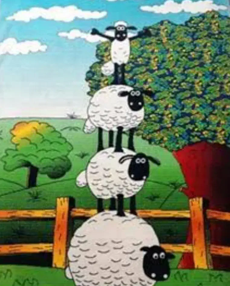 4متری|فرش|زیویه, |دیوار