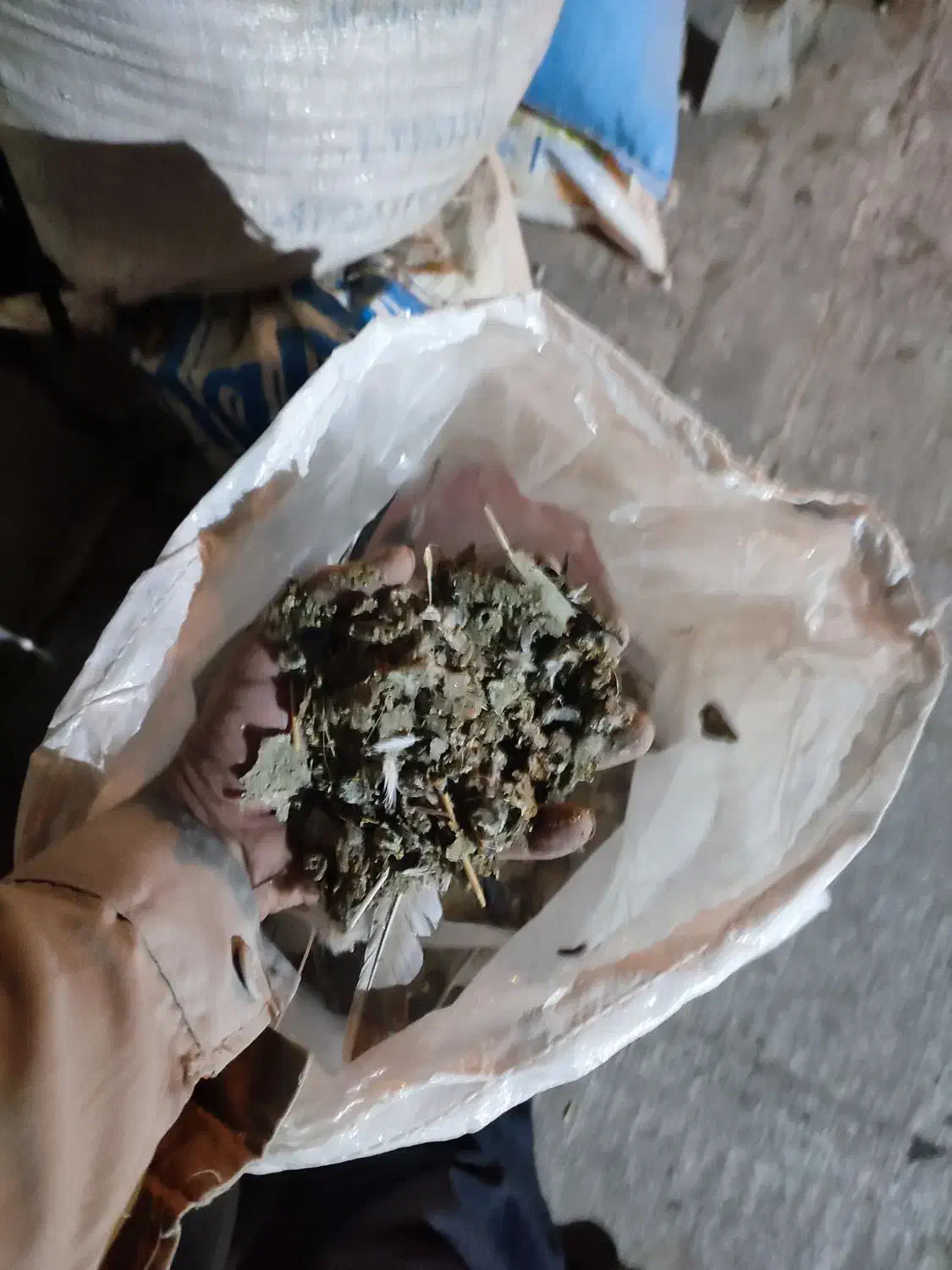 کود کبوتر اورگانیک|خدمات باغبانی و درختکاری|الوند, |دیوار