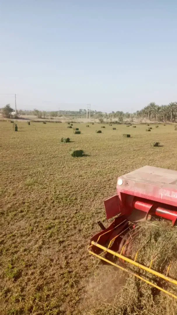 پرس یونجه|کلکسیون و سرگرمی|رودخانه, |دیوار