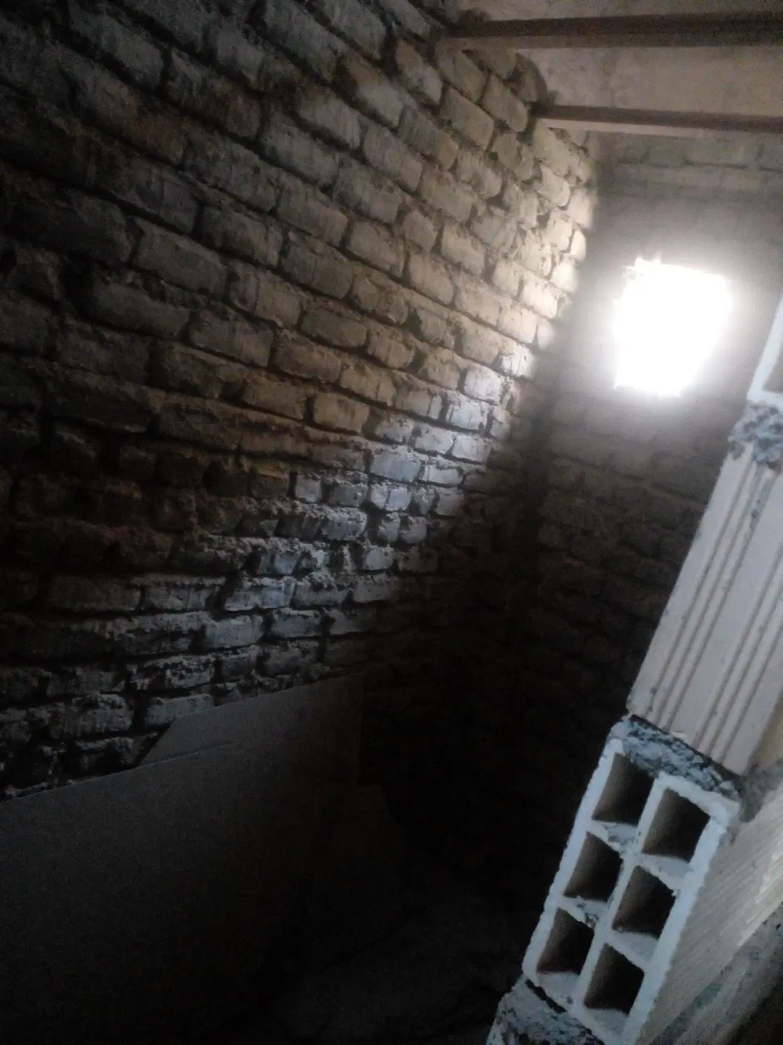 تصویر 12