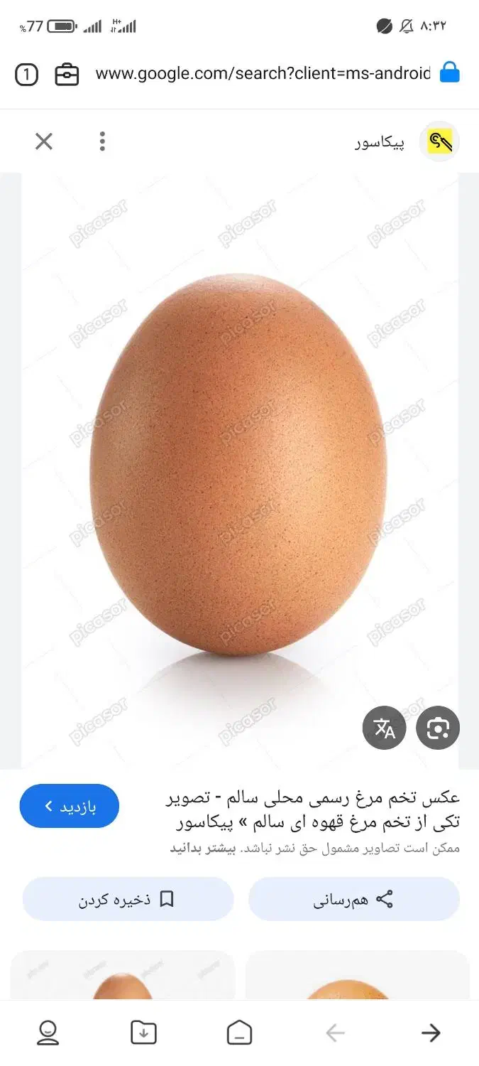 تخم مرغ لاری))|حیوانات مزرعه|سیرجان, |دیوار