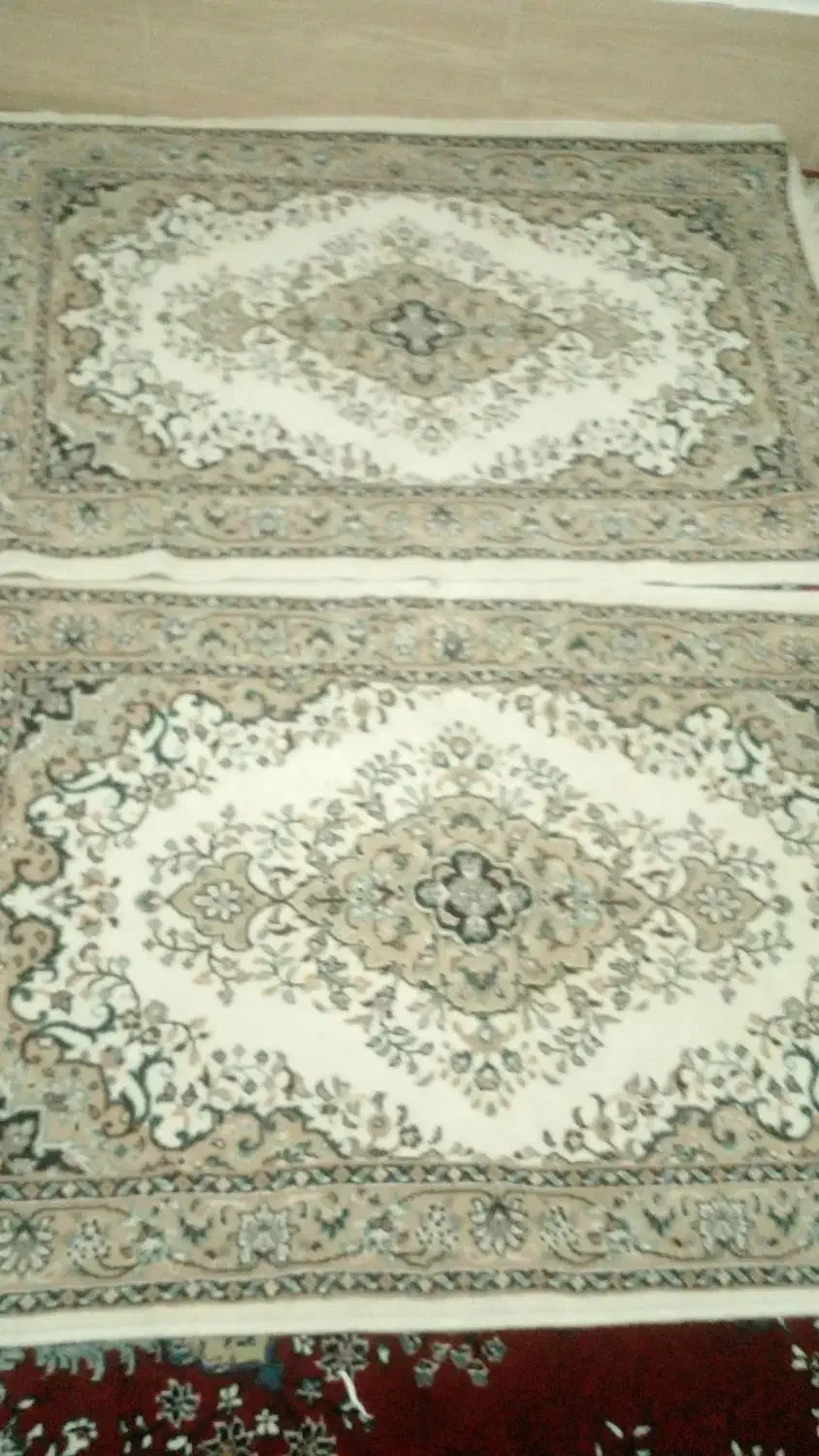 قالی ۲عدد|فرش|تربت جام, معدآباد|دیوار