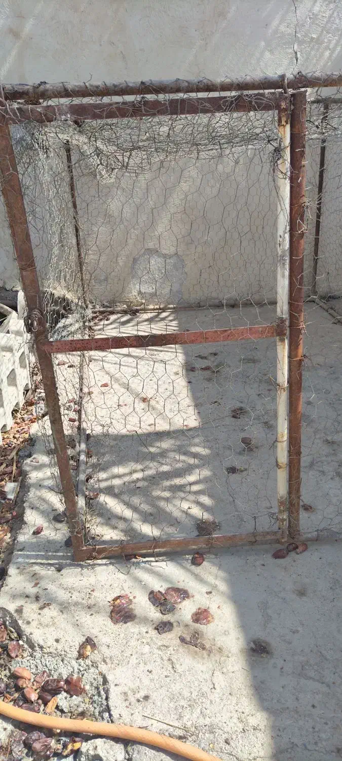 قفس بزرگ مناسب مرغ و کبوتر|لوازم جانبی حیوانات|شوشتر, |دیوار