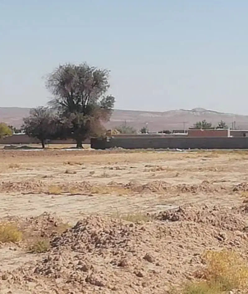 زمین باغی|فروش زمین و ملک کلنگی|بسطام, |دیوار