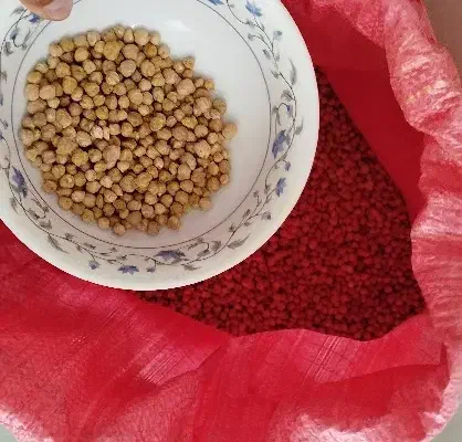 نخود محلی|خوردنی و آشامیدنی|زاوه, |دیوار