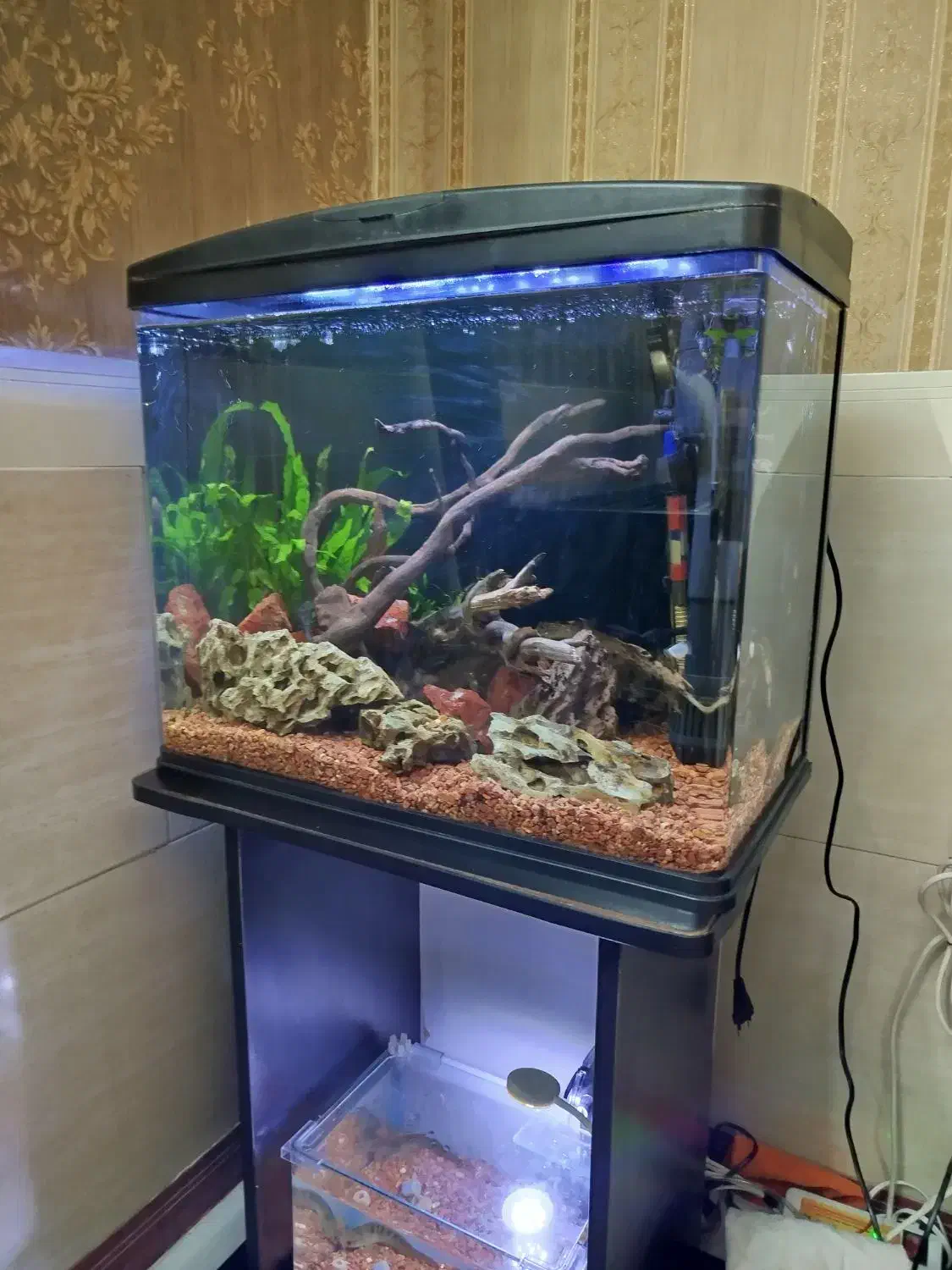 آکواریوم شیشه خم ماهیران|ماهی|قرچک, شهرک طلائیه|دیوار