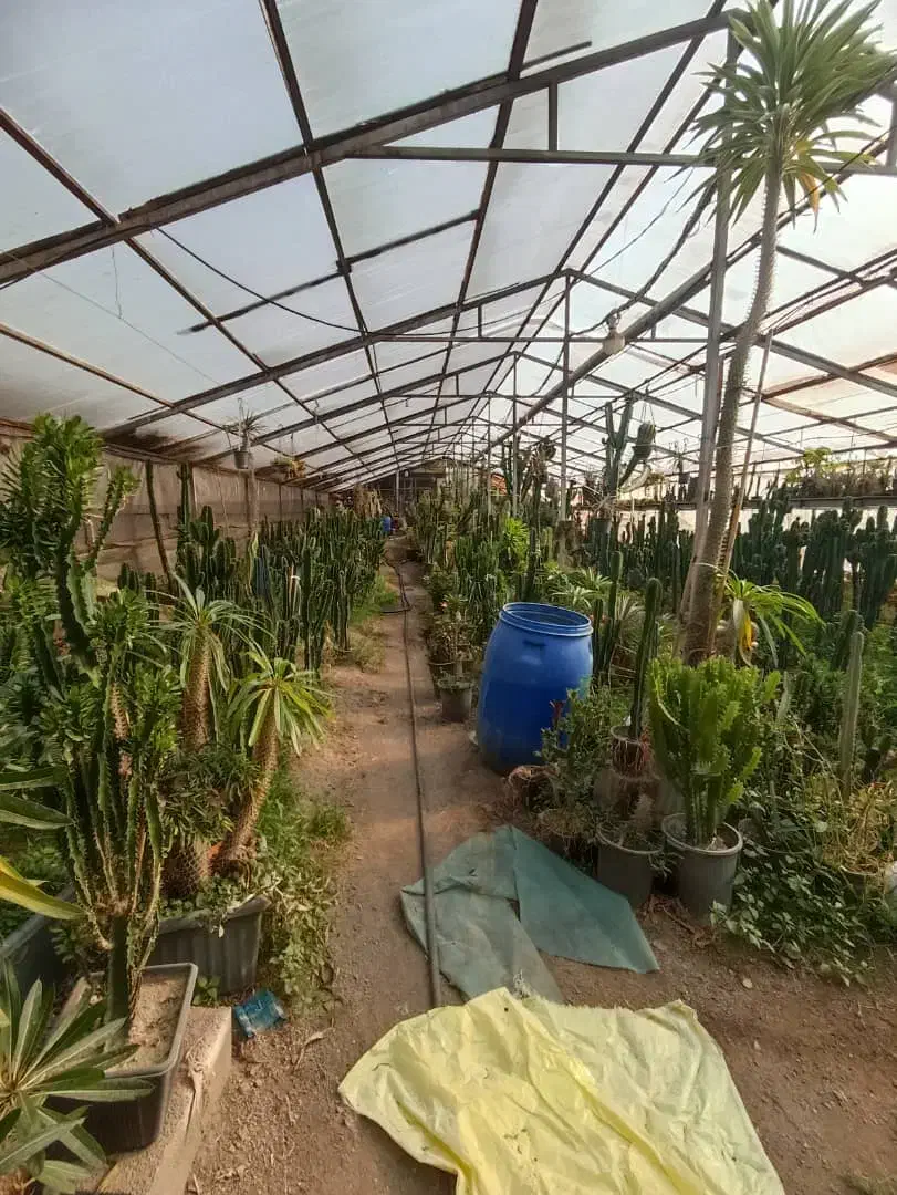 انبار 300متری شهرک جهان نما|اجارهٔ دفتر صنعتی، کشاورزی، تجاری|کرج, شهرک جهان‌نما|دیوار