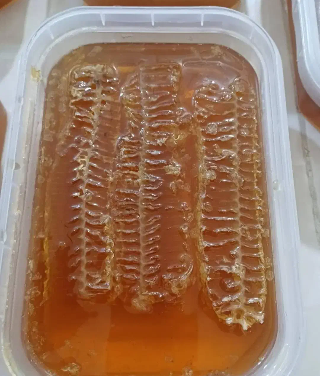 عسل|عمده‌فروشی|زرقان, |دیوار