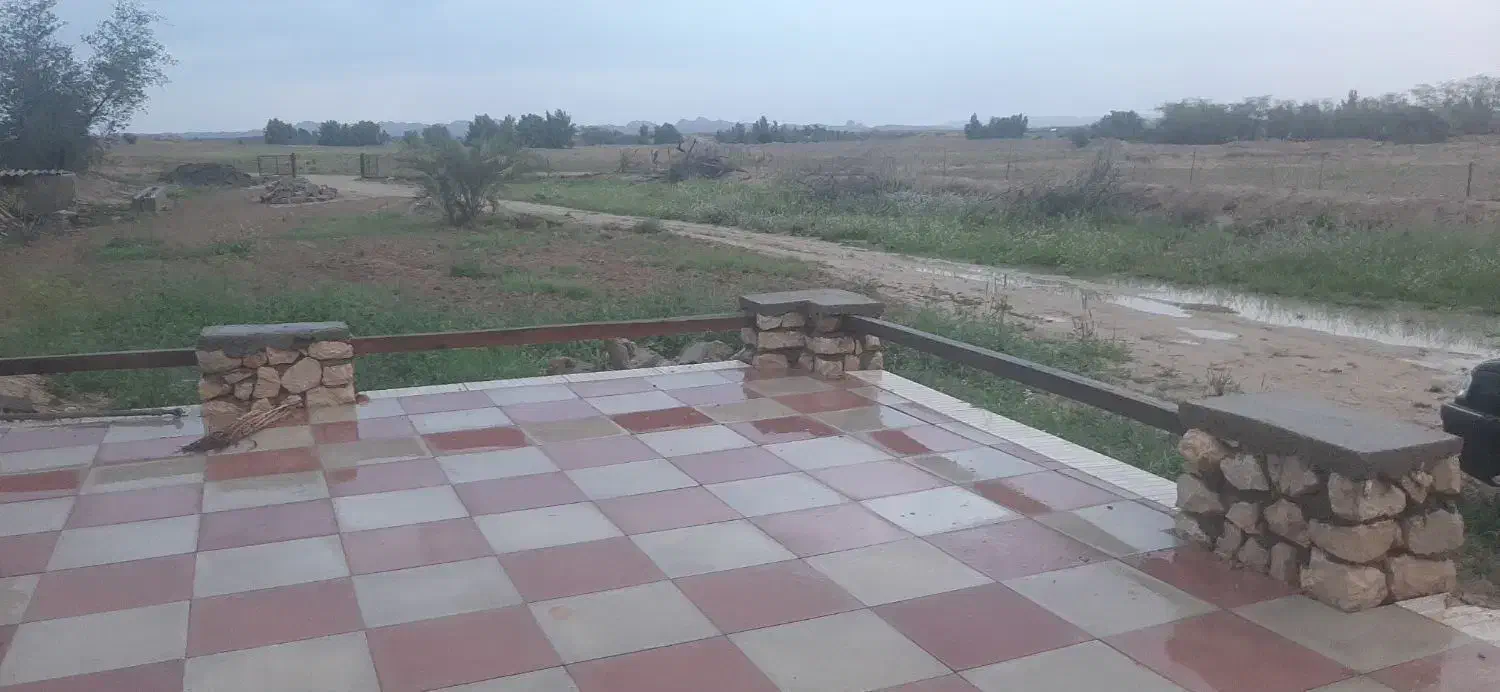 باغ نخل تفریحی روسای کدایی|فروش زمین و ملک کلنگی|ریگ, |دیوار