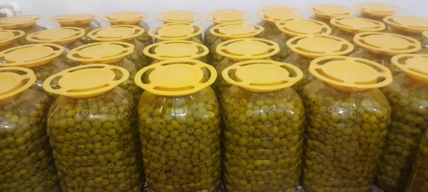 زیتون طارم|خوردنی و آشامیدنی|باسمنج, |دیوار