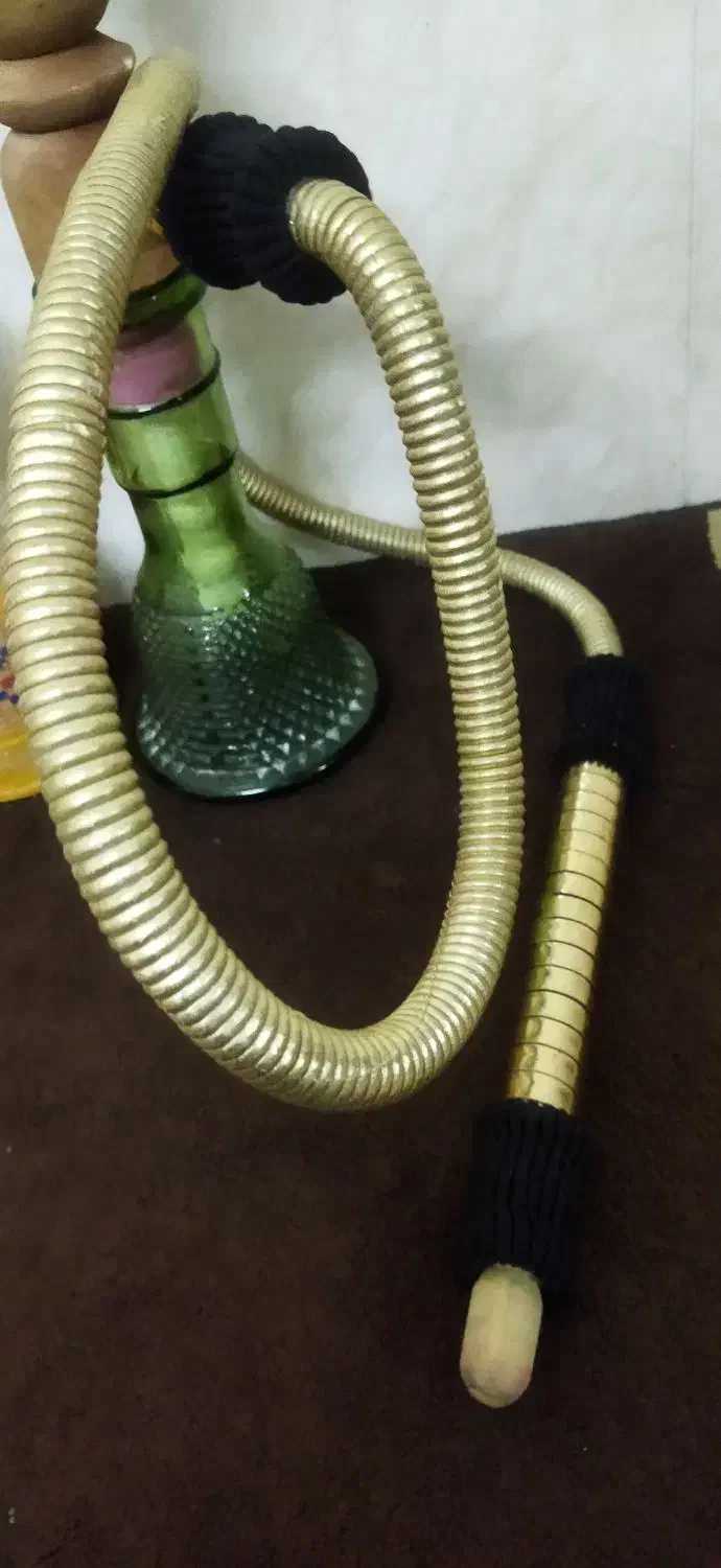 دوعددقلیون بانی فقط ۷۰۰ ( معاوضه ندارم)|کلکسیون و سرگرمی|شیراز, ریاستی|دیوار