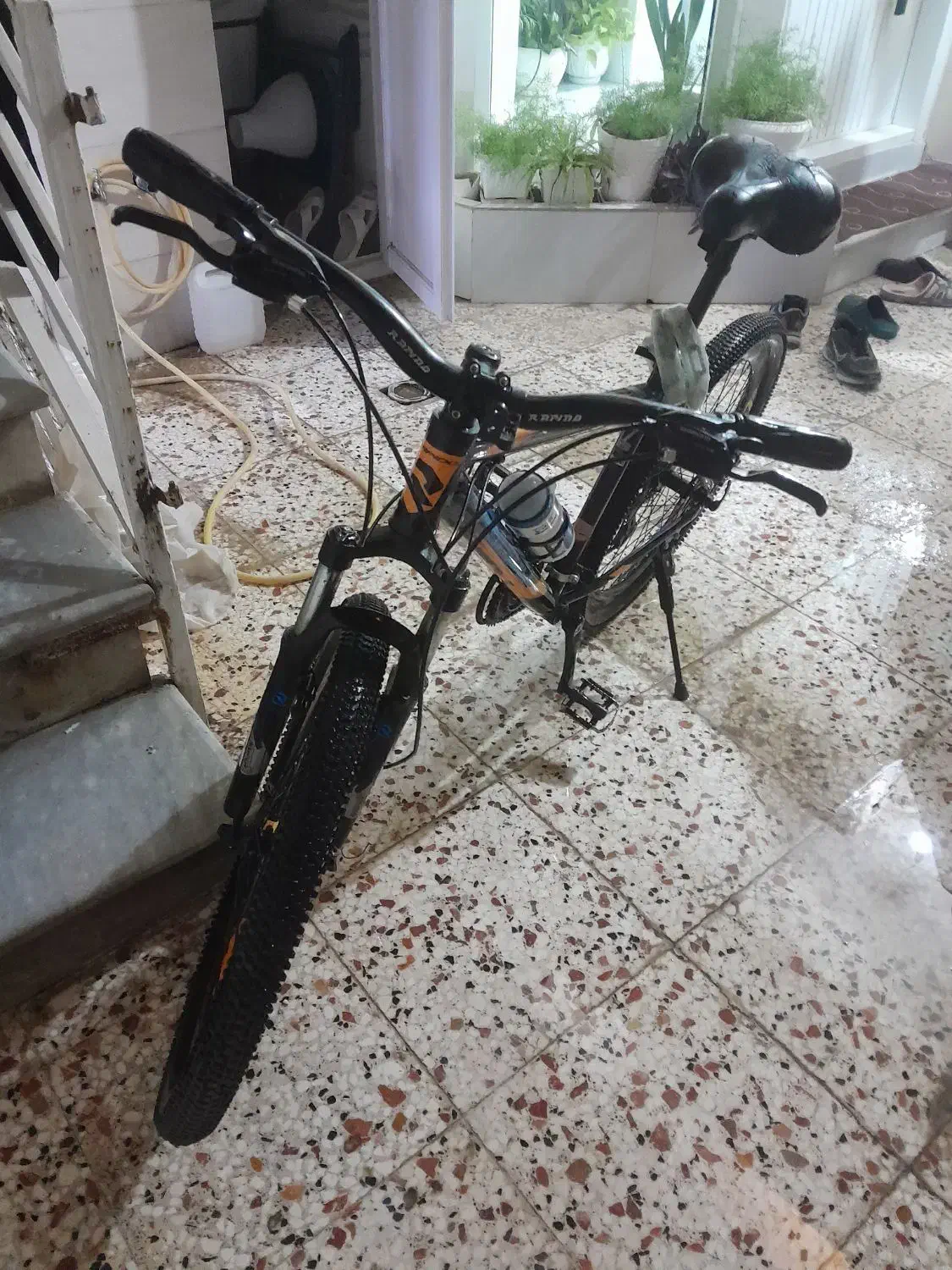 دوچرخه راپیدو|دوچرخه، اسکیت، اسکوتر|گنبد کاووس, |دیوار