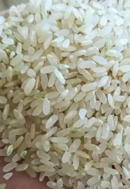 برنج کامفیروزی ولوبیا قرمز|عمدهفروشی|سیاخ دارنگون, |دیوار