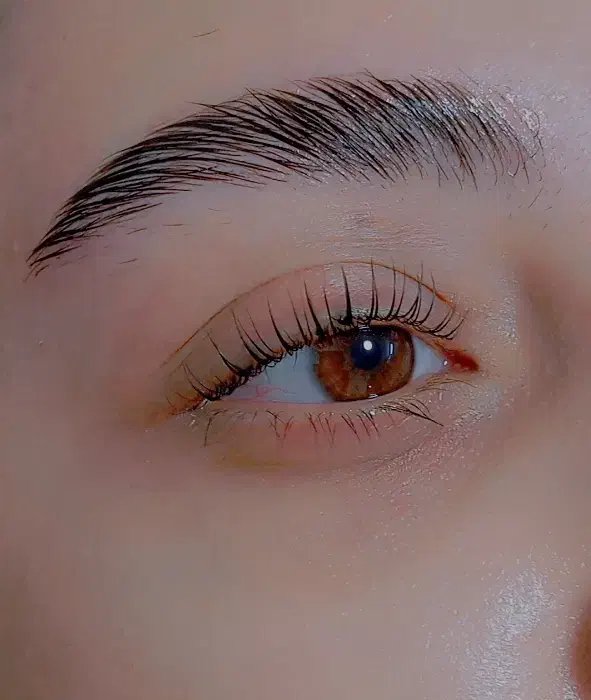 خدمات تخصصی لیفت مژه و ابرو|خدمات آرایشگری و زیبایی|قم, صدوق|دیوار