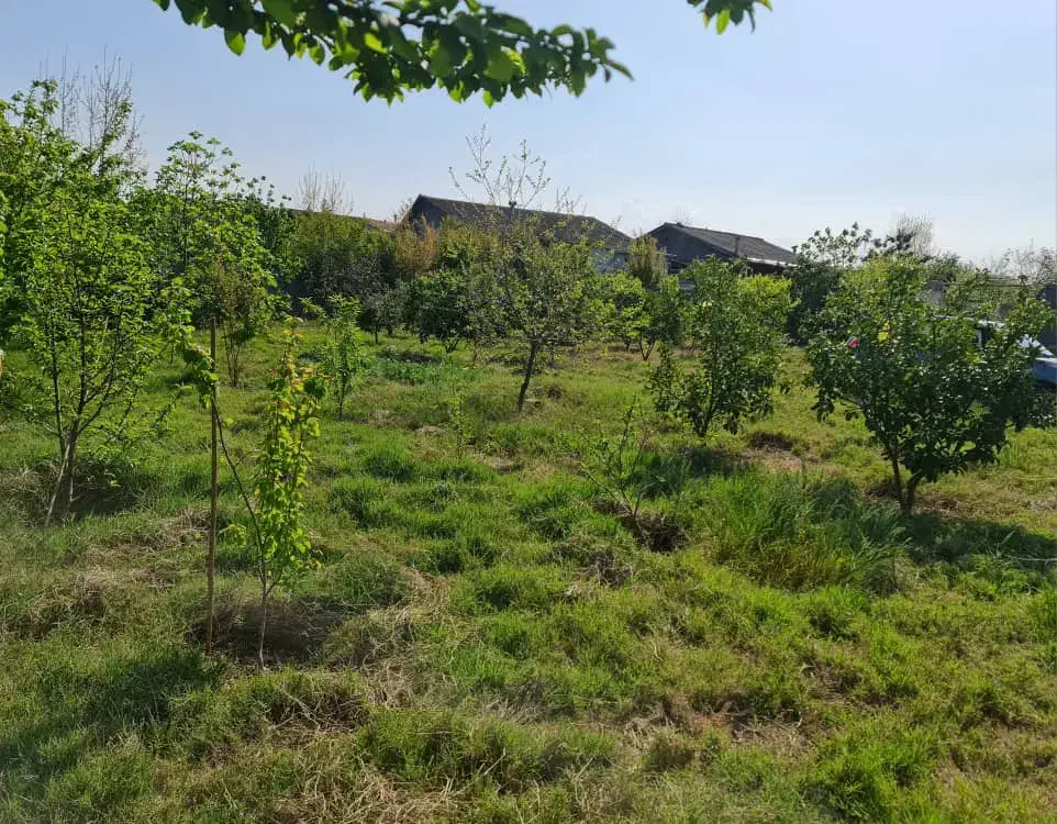 ۱۳۵۰ متر خونه باغ قابل تفکیک به متراژ مورد نظر شما|فروش خانه و ویلا|زرگرشهر, |دیوار