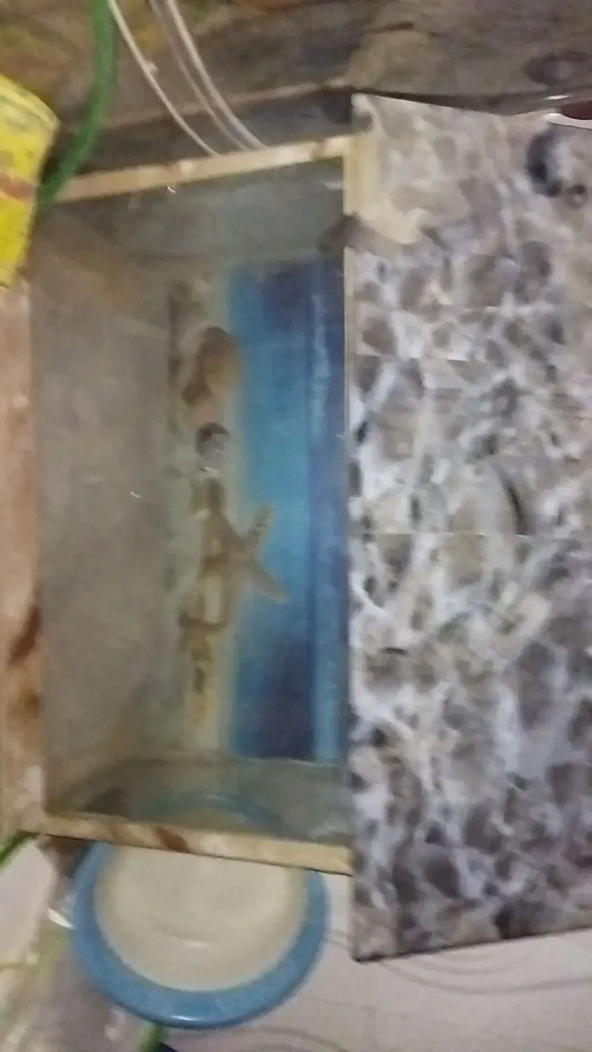 اکواریوم|ماهی|زابل, |دیوار