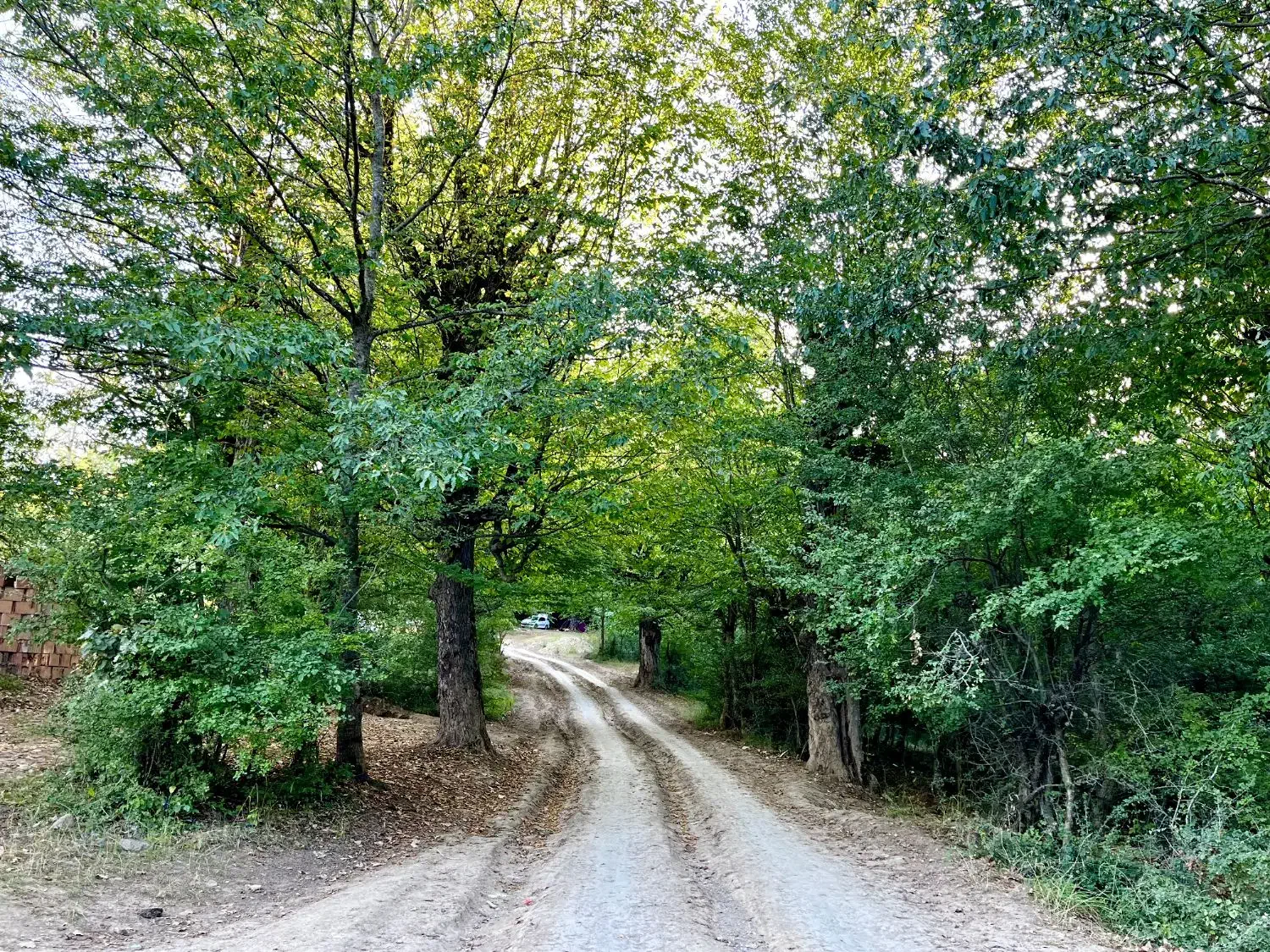 فروش زمین چسبیده به بافت افراتخته کوچه راهدارخانه|فروش زمین و ملک کلنگی|علیآباد کتول, |دیوار