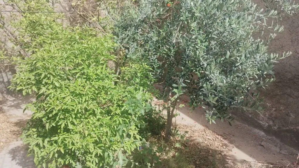 تصویر 4