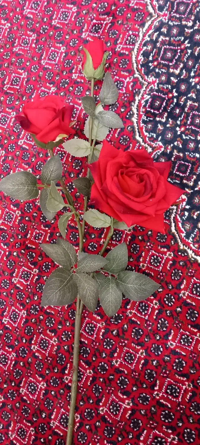 گل رز|گل مصنوعی|بیستون, |دیوار