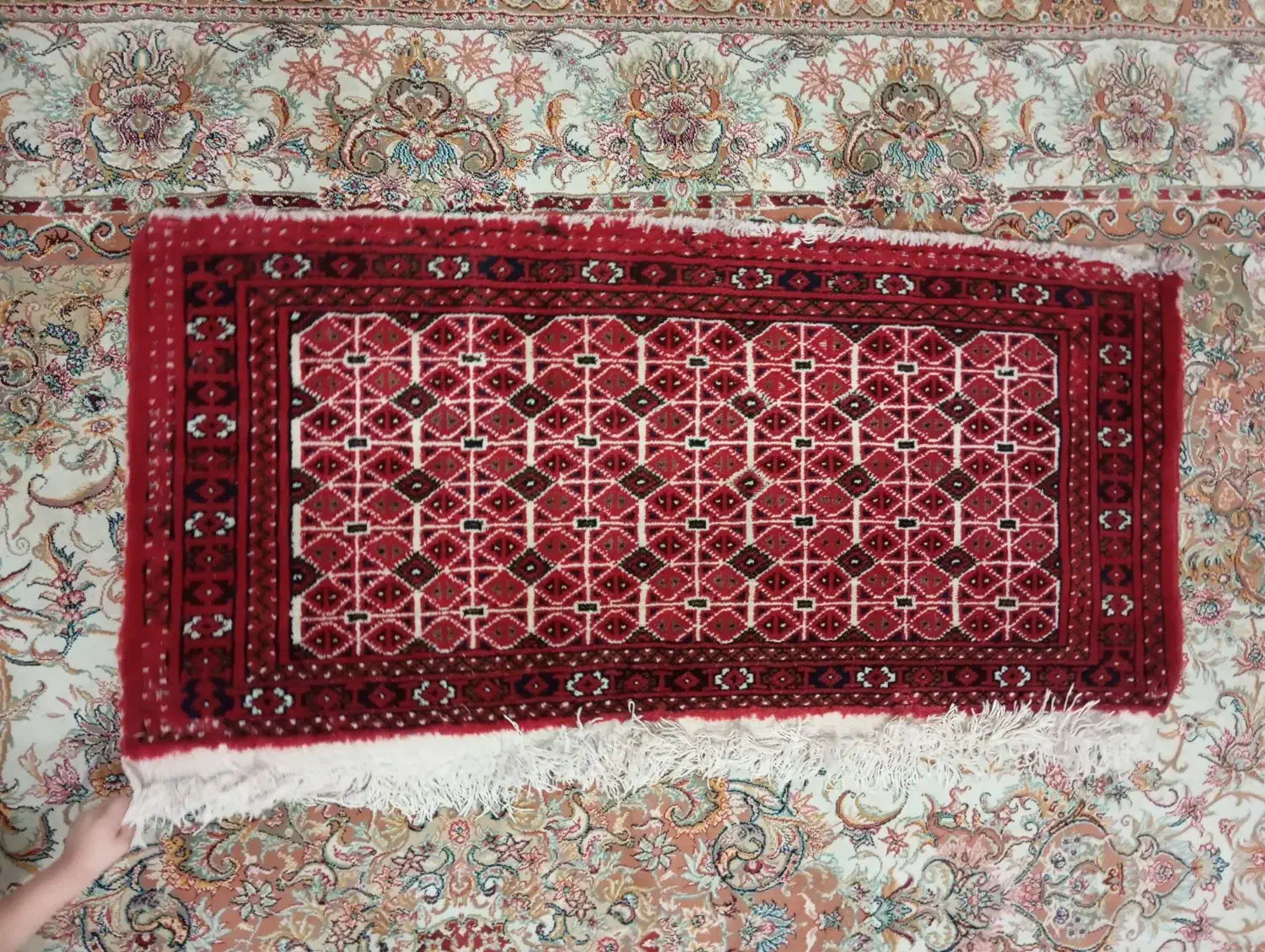 پادری|پادری|تبریز, |دیوار