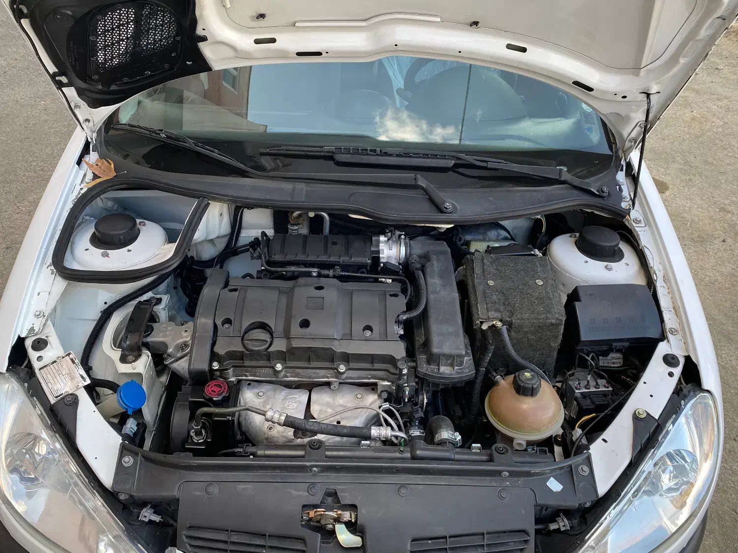 206 تیپ ۵ مدل ۱۳۹۸ در حد خانگی|خودرو سواری و وانت|سنندج, |دیوار