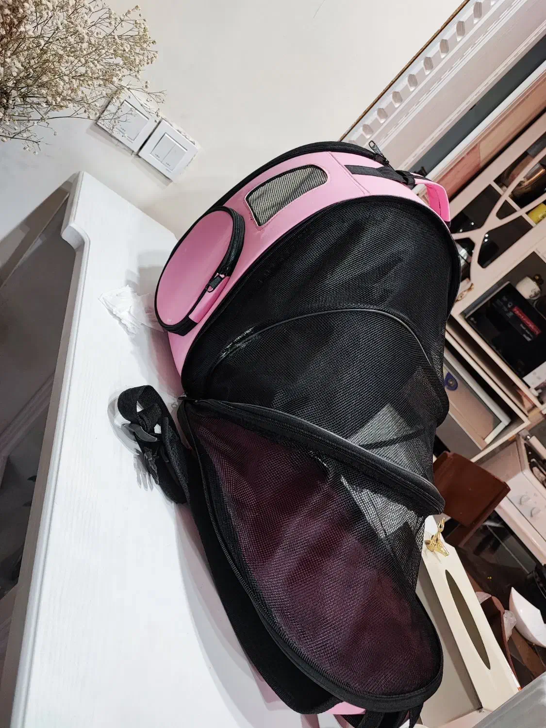 کیف حمل گربه و سگ|لوازم جانبی حیوانات|پردیس, فاز ۴|دیوار