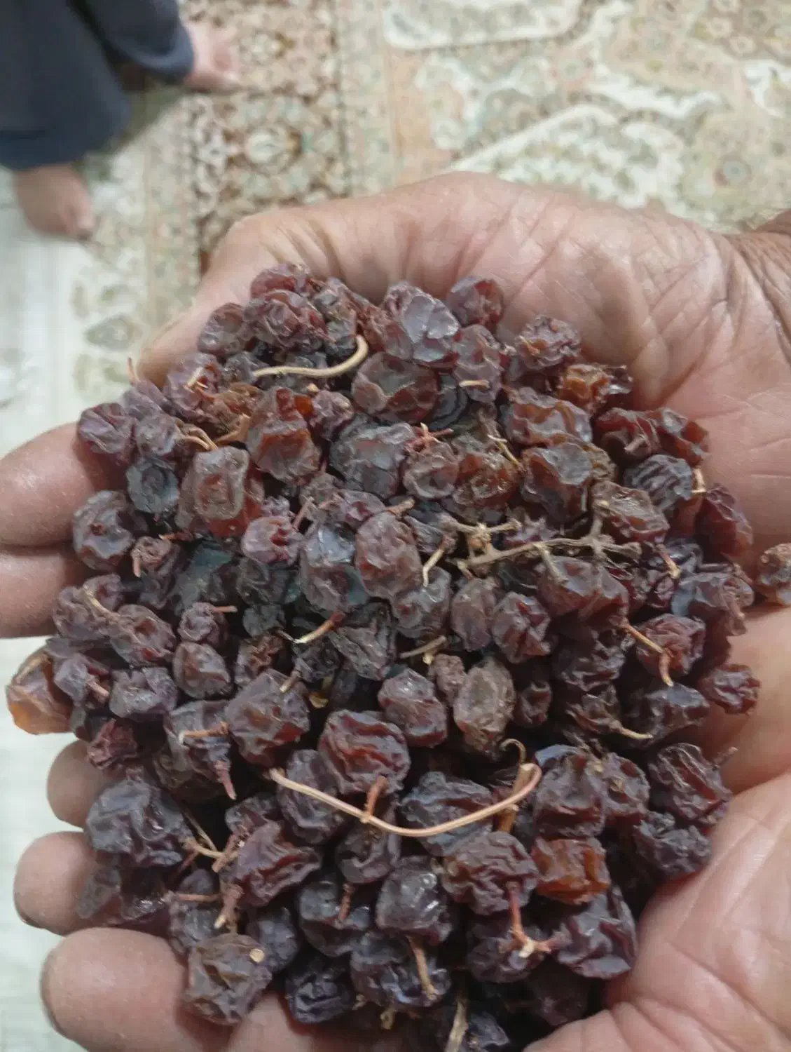 مویز بش بنو،درجه یک|خوردنی و آشامیدنی|شیراز, حجت آباد|دیوار