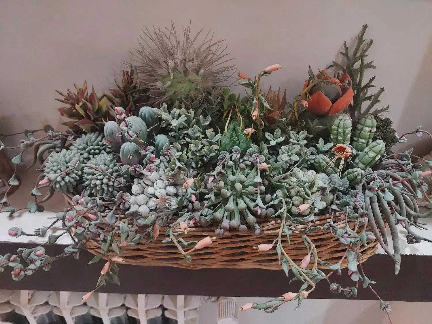سبد کاکتوس دست ساز|گل مصنوعی|تهران, صادقیه|دیوار