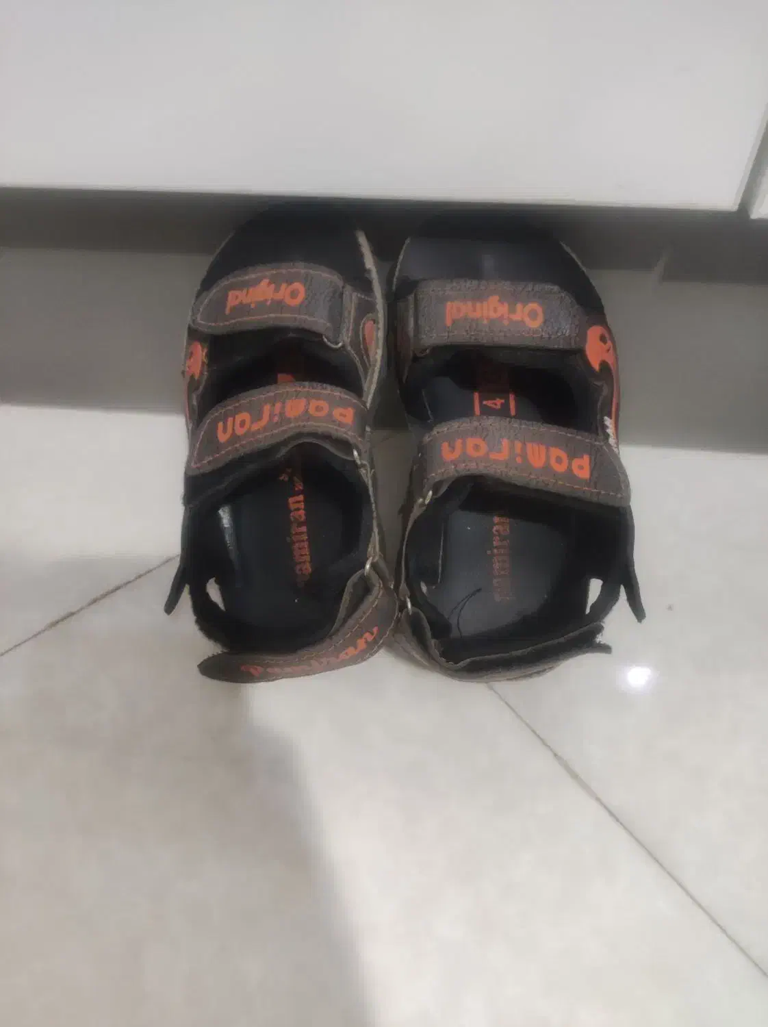 کفش|کیف، کفش، کمربند|بیرجند, |دیوار