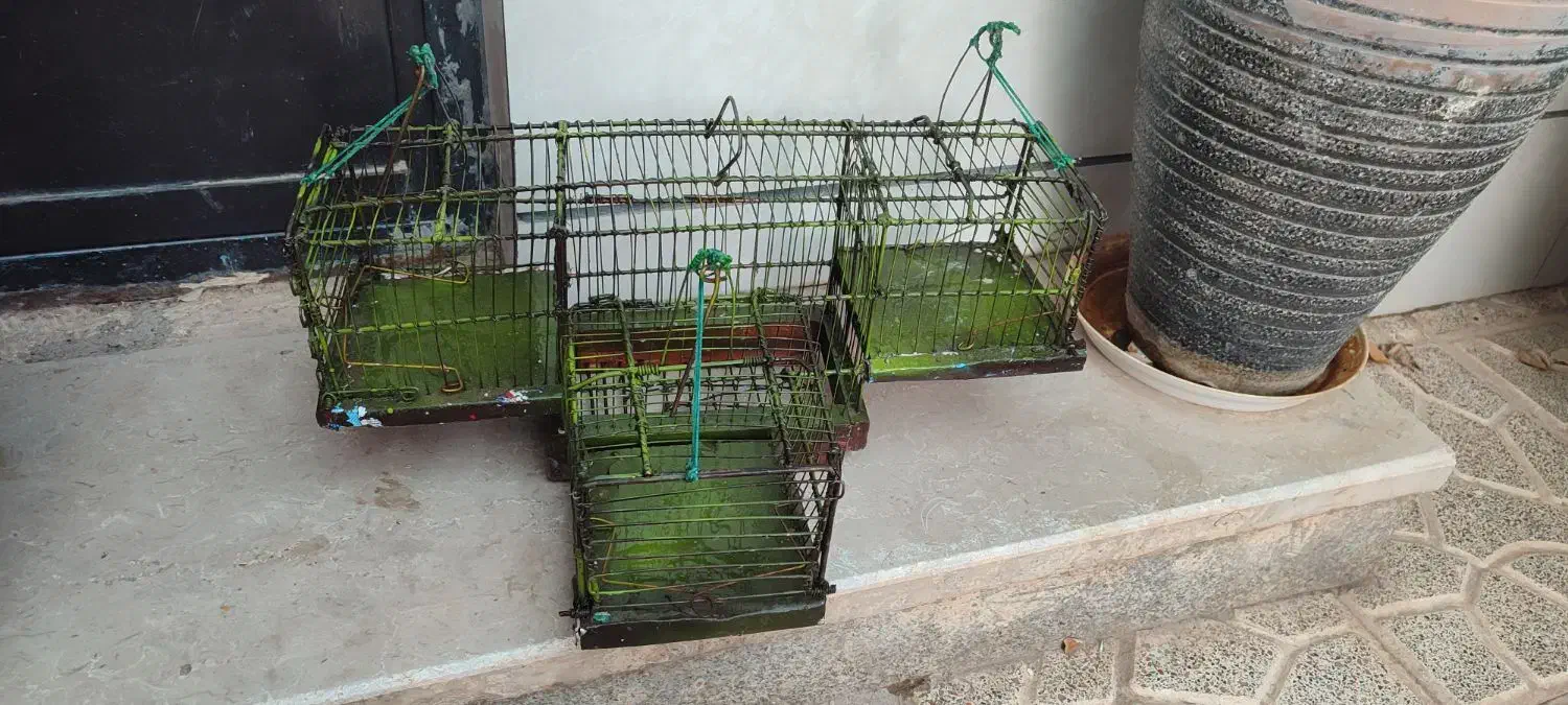 قفس سهره|لوازم جانبی حیوانات|تربت جام, میان جام|دیوار