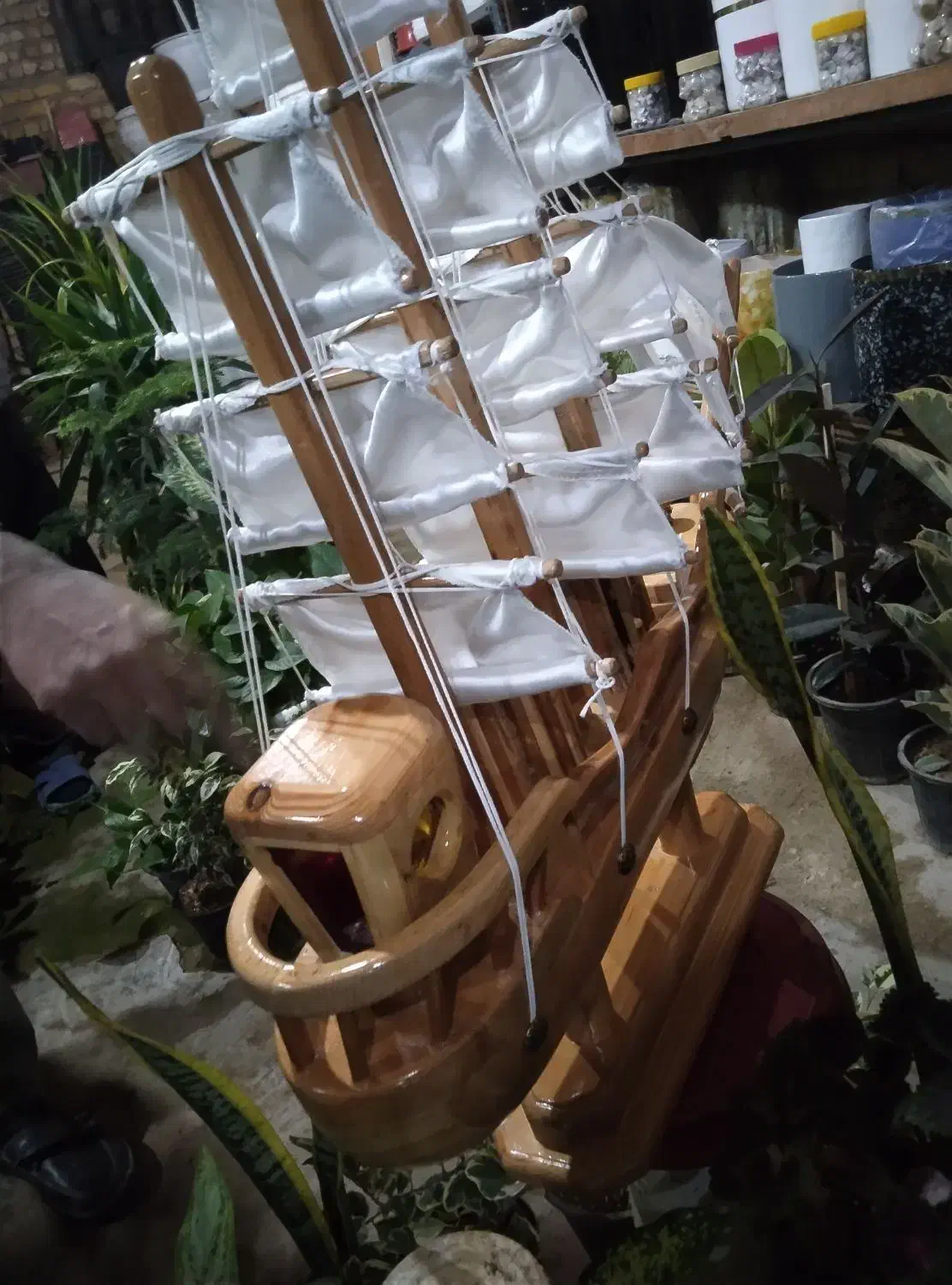 فروش انواع نهال گلهای آپارتمانی و گلدان|گل و گیاه طبیعی|شیراز, محراب|دیوار