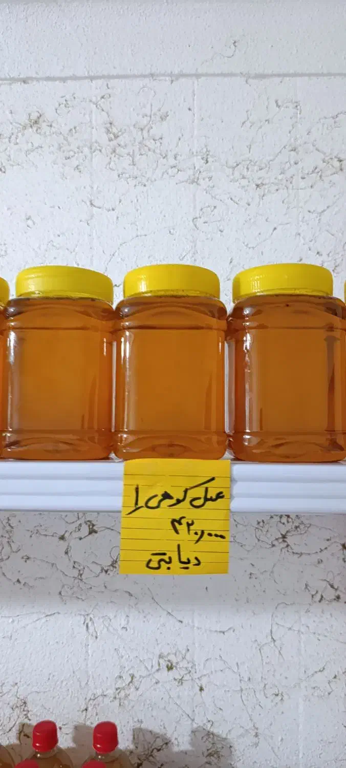 عـسـل کـوهی|خوردنی و آشامیدنی|شیراز, محمودیه|دیوار
