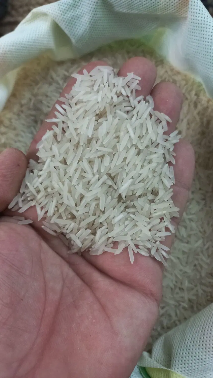 برنج|خوردنی و آشامیدنی|نیشابور, گنبد سبز|دیوار