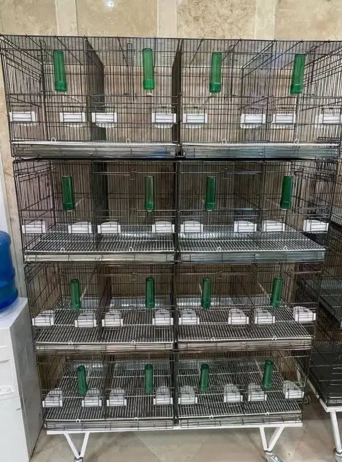 تولیدی قفس کمالی|لوازم جانبی حیوانات|مشهد, ابوذر|دیوار