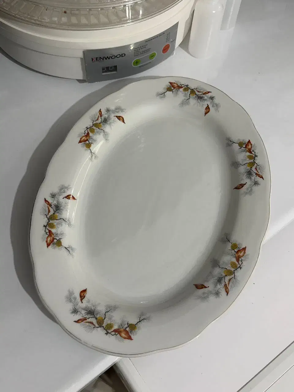 سرویس غذاخوری ۲۴ نفره چینی قیمت ۶۰۰۰/۰۰۰ تومان|ظروف سرو و پذیرایی|خرمآباد, |دیوار