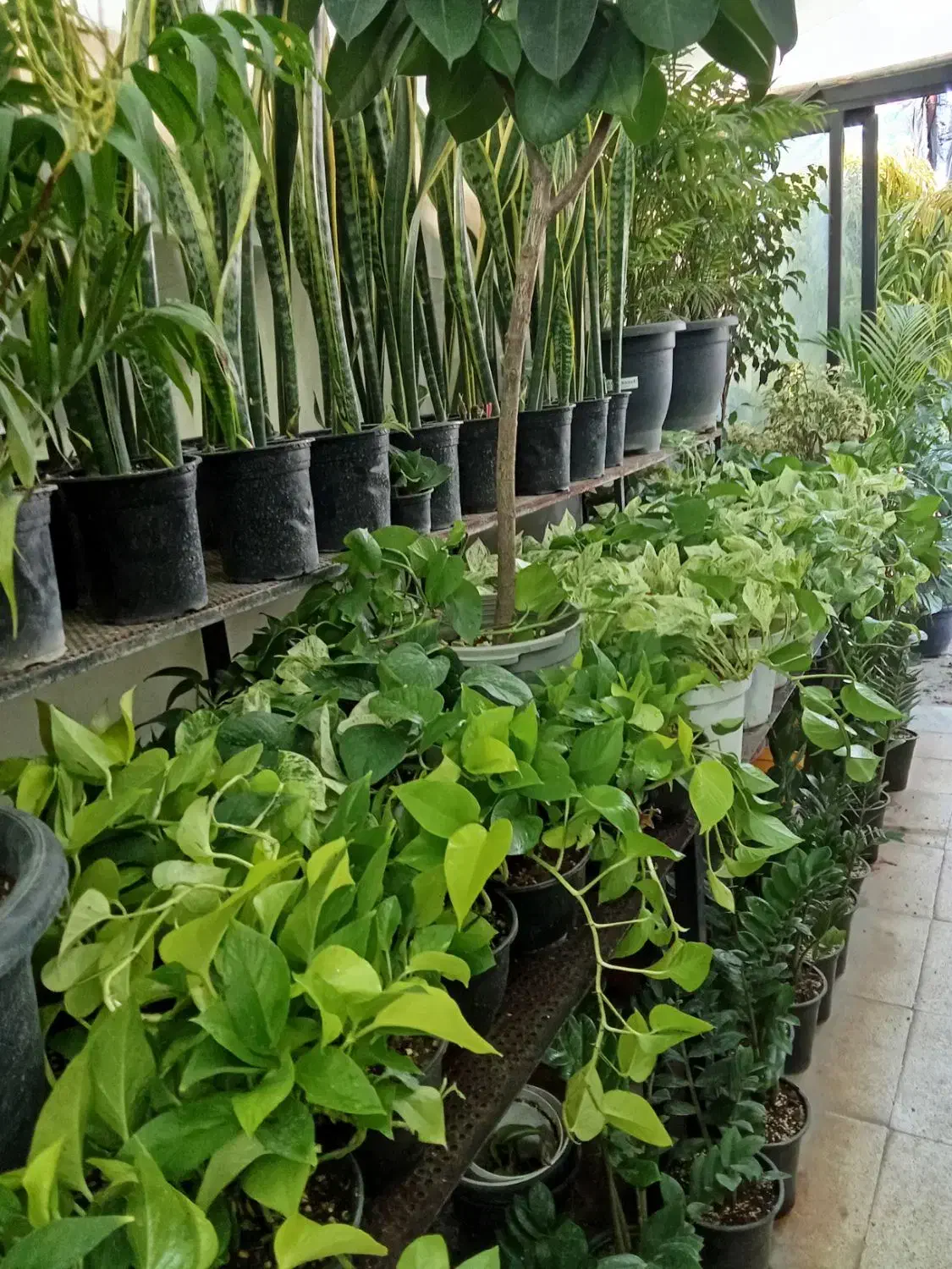 اجاره سوییت ویلا وباغ حومه تهران|استخدام سرایداری و نظافت|تهران, تهرانپارس شرقی|دیوار