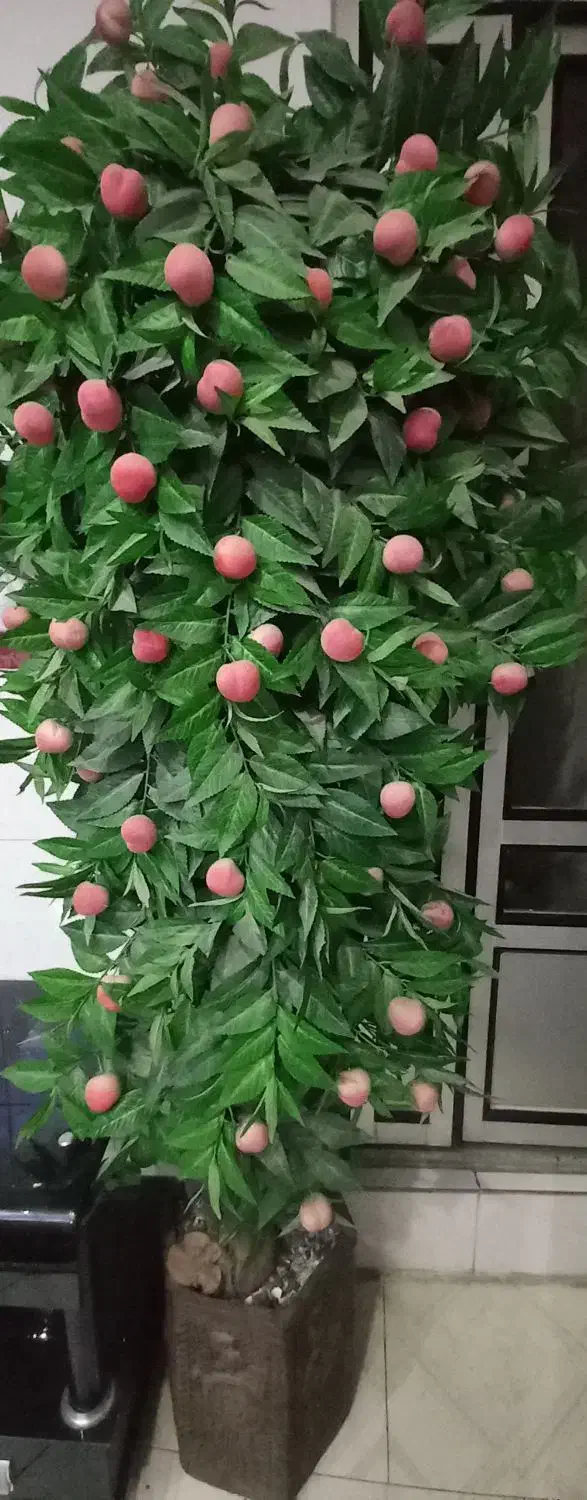 فروش درخت مصنوعی هلو|گل مصنوعی|همدان, |دیوار