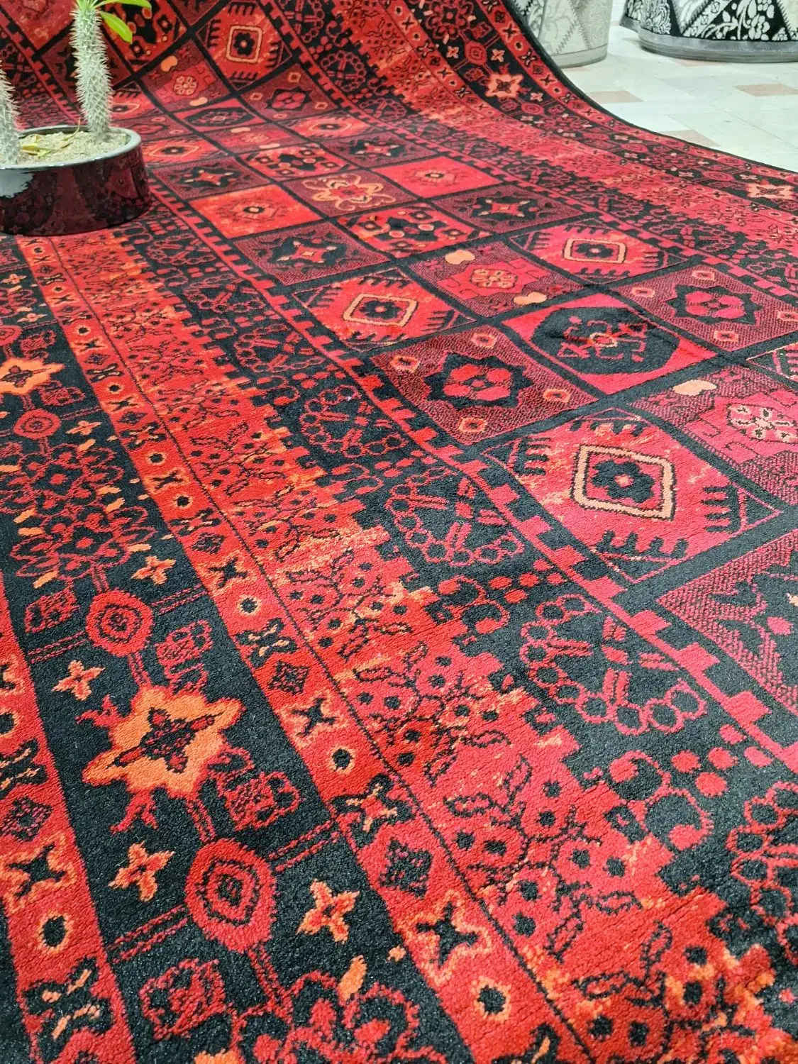 از تولید تا پخش با شماییم|فرش|قم, زند آباد|دیوار