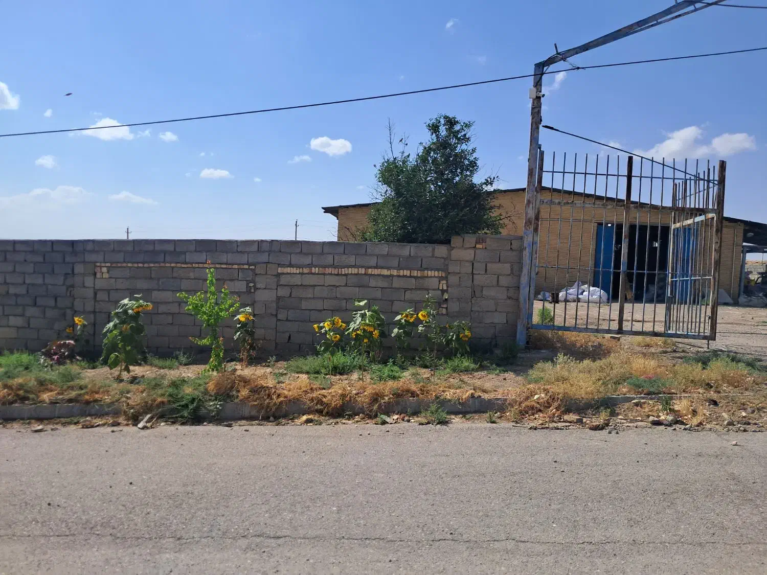 سالن تجاری در شهرک صنعتی دوزدوزان|فروش دفتر صنعتی، کشاورزی، تجاری|مهربان, |دیوار