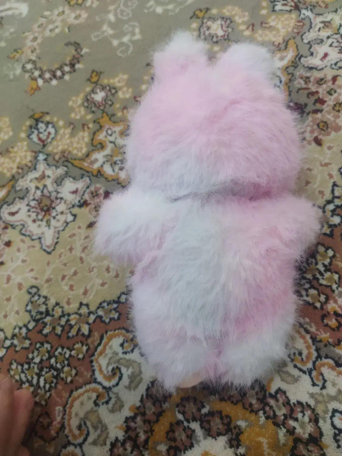 لبوبو|اسباببازی|سقز, |دیوار