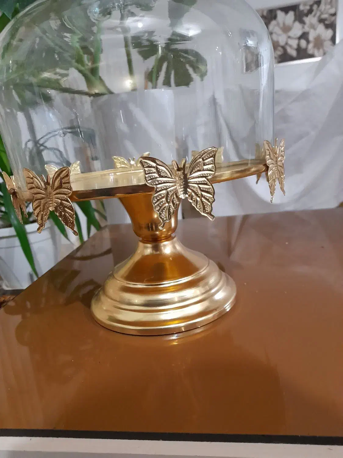 ظرف کیک|ظروف سرو و پذیرایی|تربت‌حیدریه, قائم|دیوار